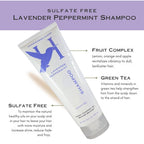 LavenderPeppermint Shampoo
