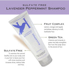 Lavender Peppermint Shampoo & Conditioner Set