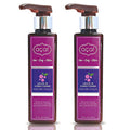 Acai Leave in Conditioner Bundle 2x